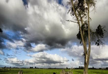 张伟丽成功卫冕女子草量级金腰带.
