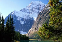 6月踢世俱杯还是U21欧洲杯？麦卡蒂：没想好，两个机会都很好.