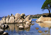 NG28官网：[德甲]凯恩头球摆渡 穆西亚拉闪击破门.